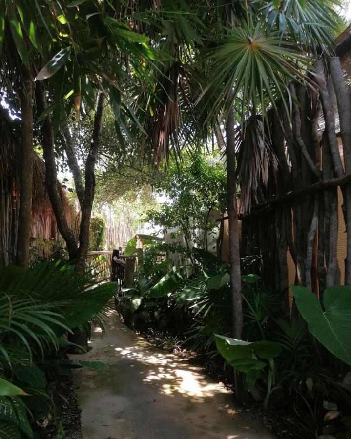 Cozy Room Near The Beach, Party Zone Tulum Zewnętrze zdjęcie